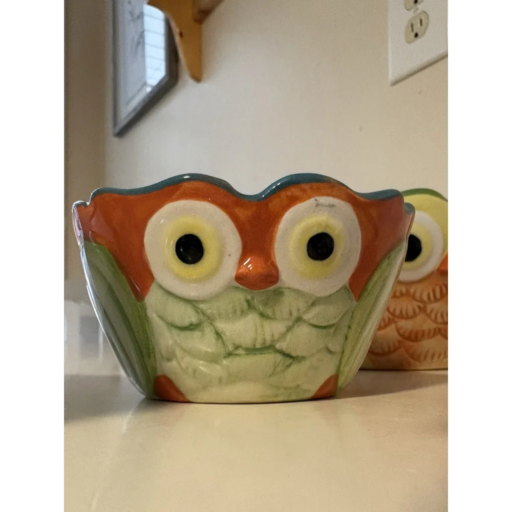 Pier 1 Imports Hand Painted Owl Measuring Cups Set 4 Stoneware Colorful Vintage